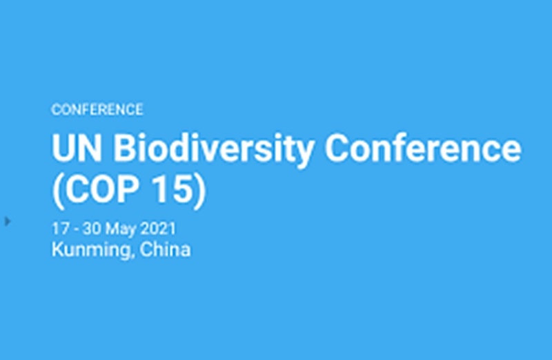 COP 15 khai mạc tại Trung Quốc: Thế giới cần cam kết rõ ràng về đa dạng sinh học